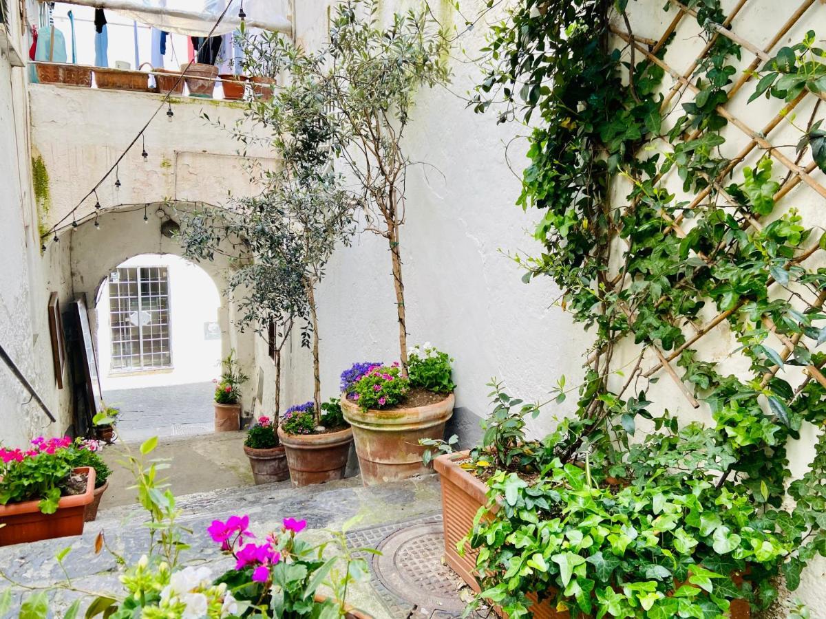 Casa Viggiano In The Heart Of Amalfi 아파트 외부 사진